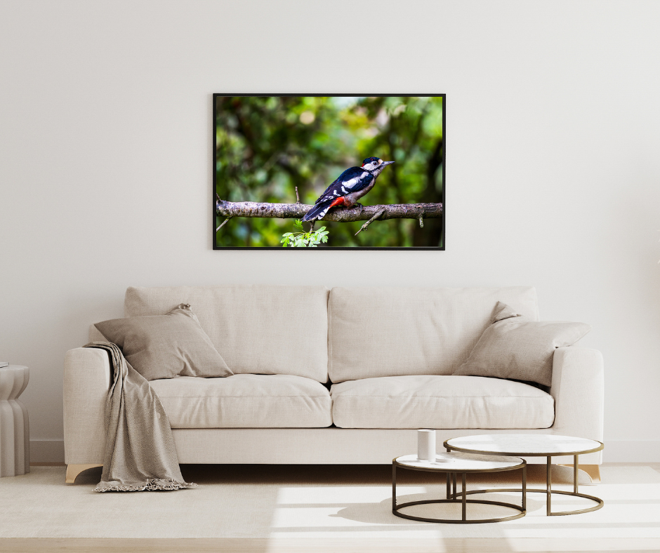 Beige sofa with a wall-mounted TV displaying a bird on a branch in a living room.
