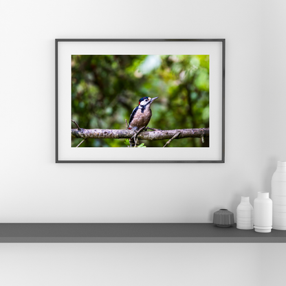 Framed photograph of a bird on a branch in a room with decorative items.