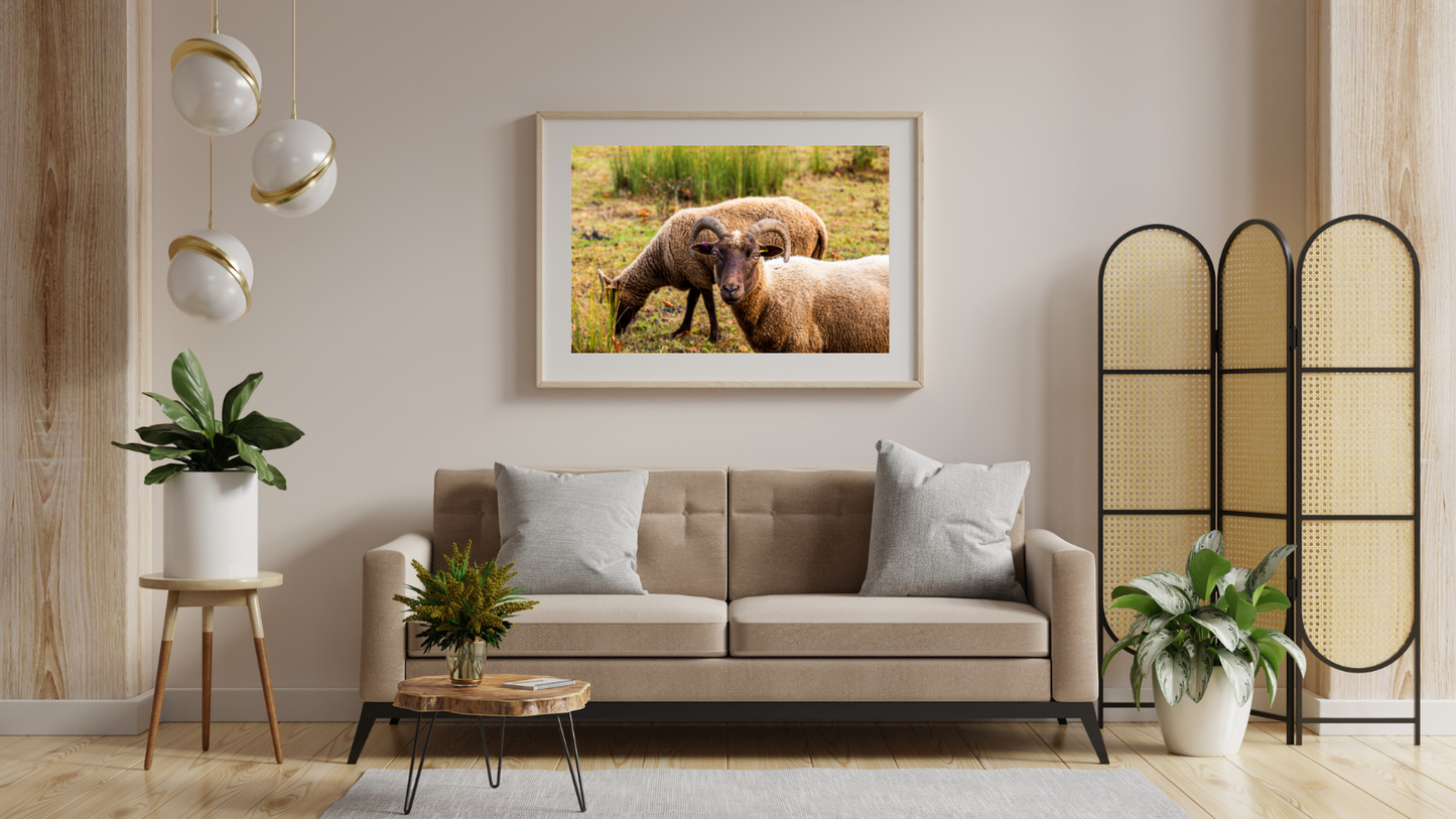 Living room with a beige sofa, decorative plants, and a framed picture of sheep on the wall.
